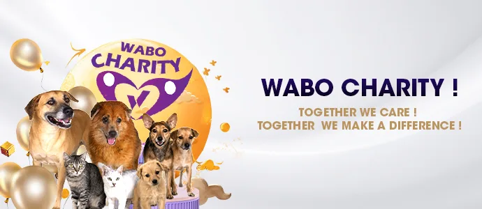 WABO Charity